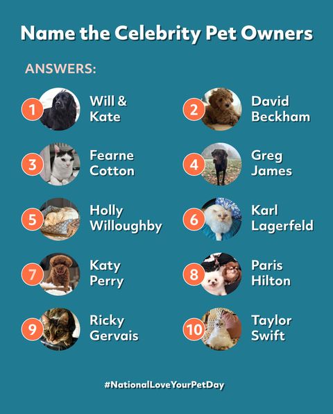 name the celebrity pet owners quiz answers