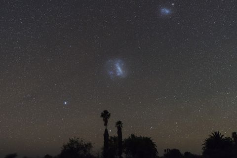 namibia, region khomas, near uhlenhorst, astrophoto, chain of star canopus, large magellanic cloud and small magellanic cloud with palm trees in foreground