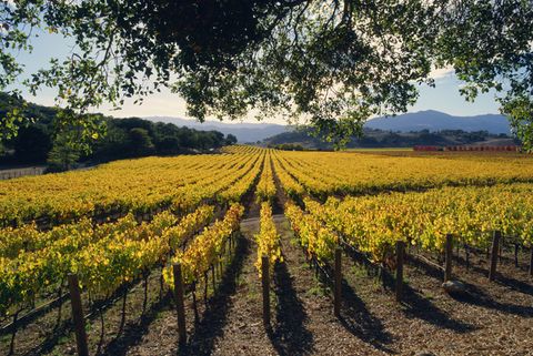 where to go in october napa valley 2020