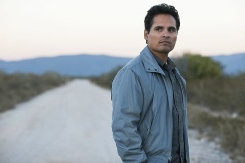 Michael Peña es Kiki Camarena en "Narcos"