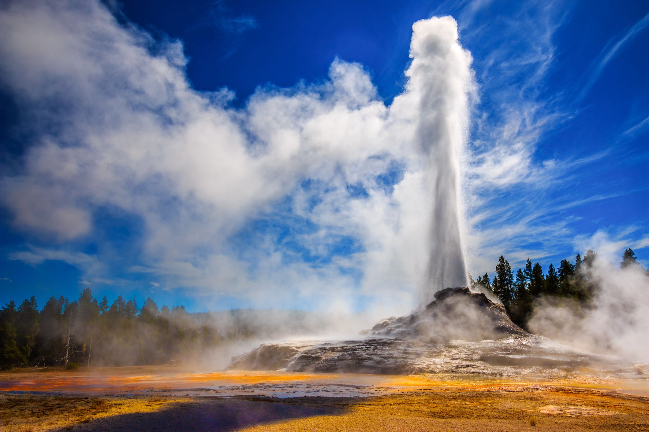 Download Yellowstone National Park Is Currently Closed, But You Can Live-Stream Old Faithful Right Now ...