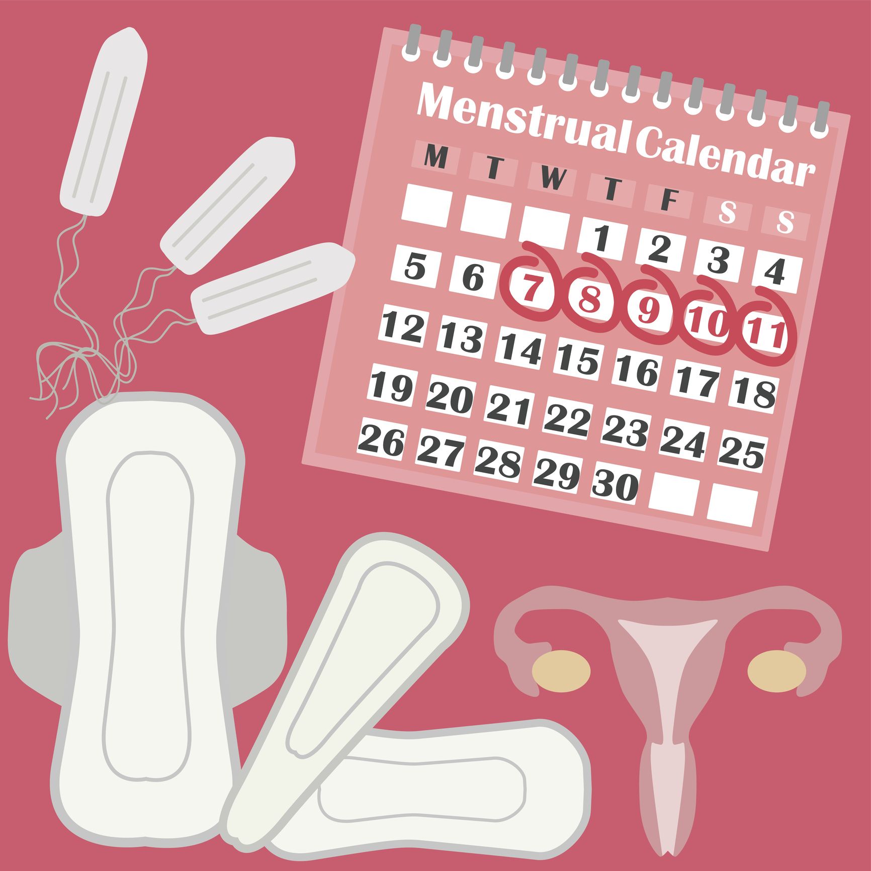 Natural Family Planning Calendar Method Chart