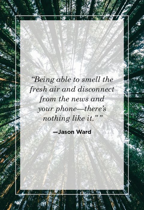 53 Best Nature Quotes Inspirational Sayings About Nature
