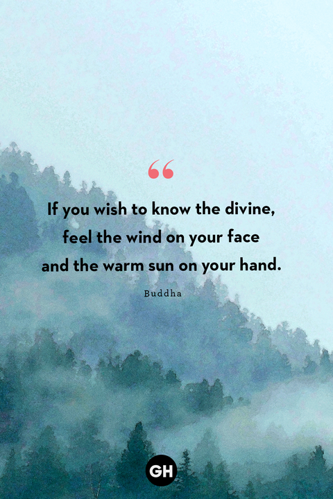 quote about nature by buddha