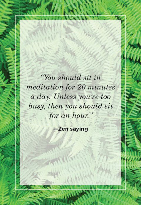 ferns with nature quote