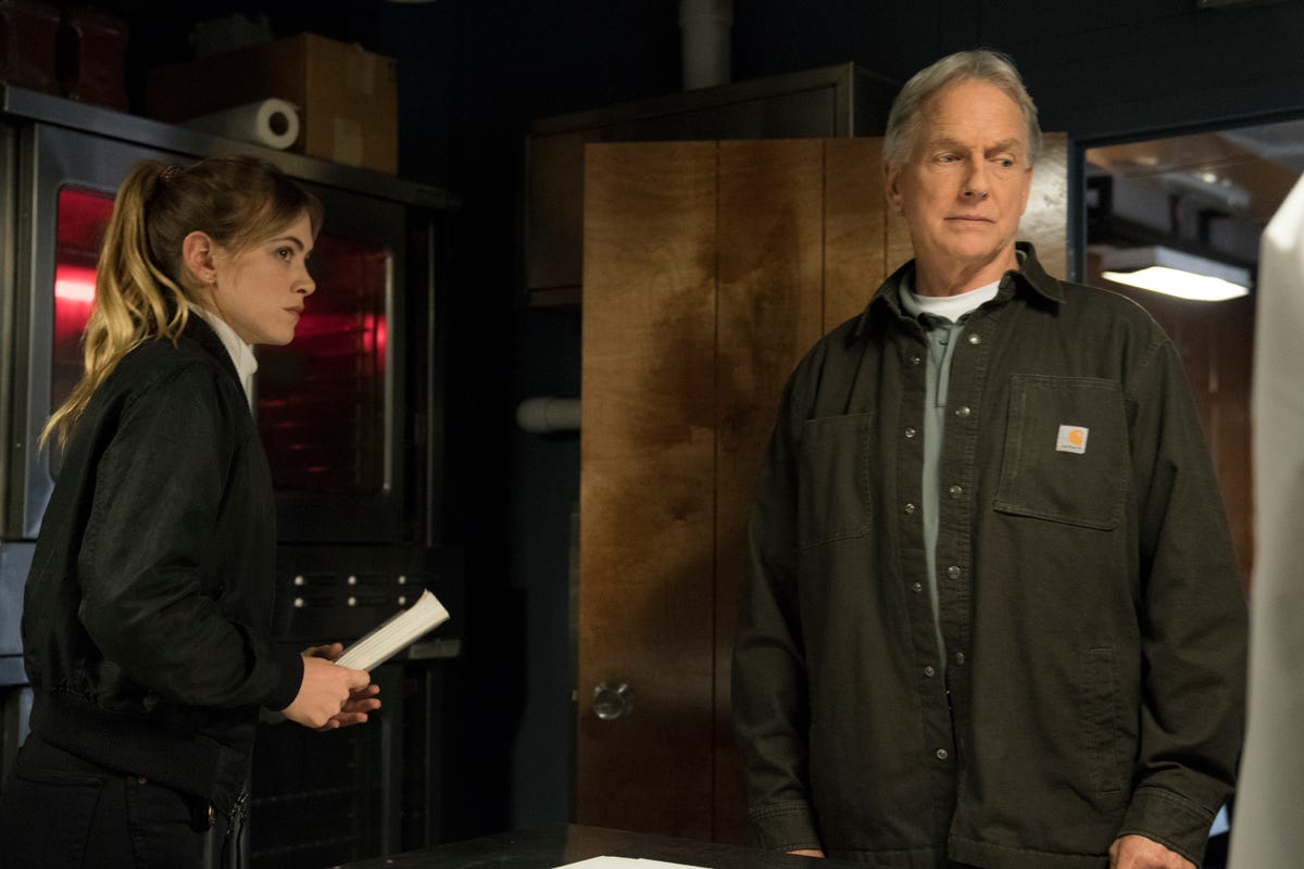 NCIS season finale to bring back dead character