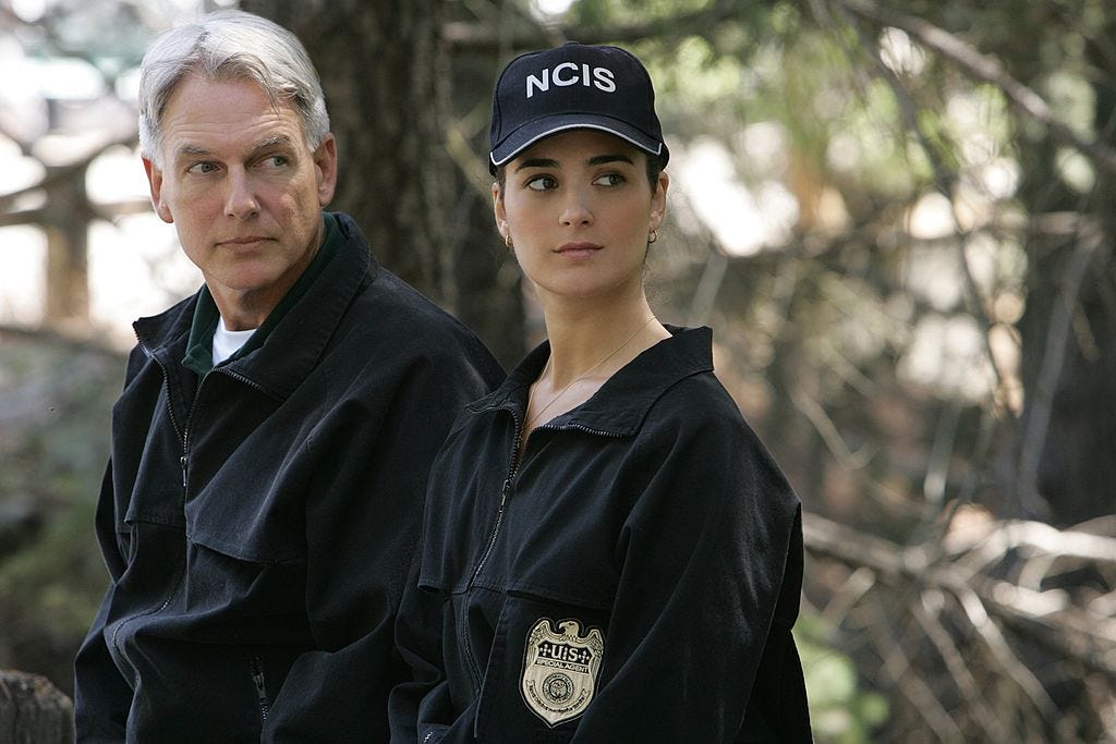 NCIS, Season Six