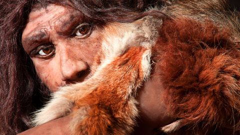 Hebben Neanderthalers ooit met elkaar gepraat?