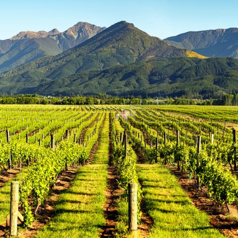 10 Under-the-Radar Places Wine Lovers Need to Visit Now