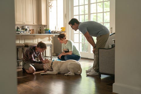 Netflix's Dog Gone gets same reaction from fans Netflix's Dog Gone gets same reaction from fans