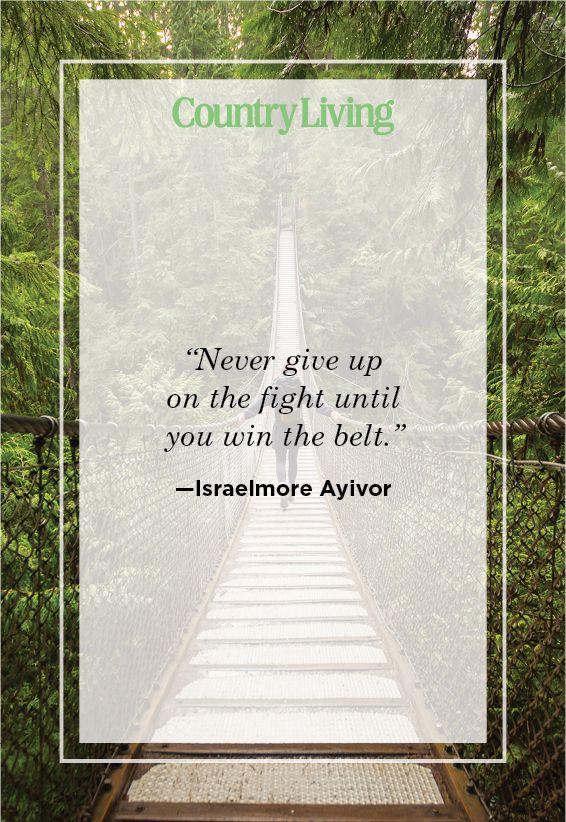 Never Give Up Motivation Quotes Best Inspiring Quotes On Perseverance