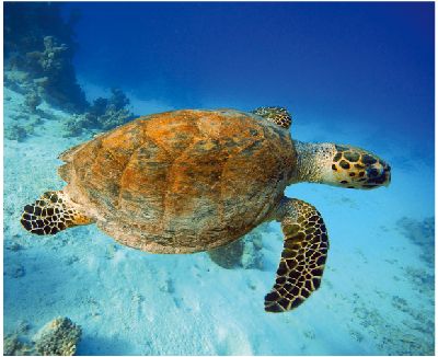 2023世界地球日，美妝響應「友善海洋保護、空瓶回收再生計畫」將環保實踐於生活