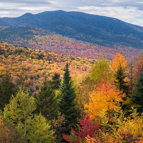 white mountain national forest, lincoln, new hampshire, usa