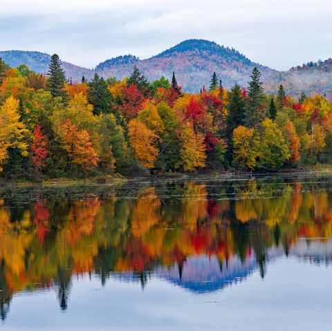 colorful fall foliage in connecticut