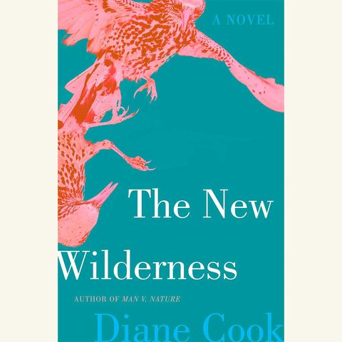 the new wilderness, diane cook