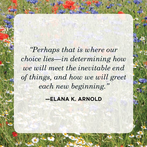 New Beginnings Quotes Elana K. Arnold