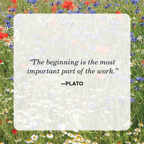 New Beginnings Quotes Plato