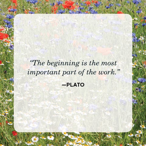 New Beginnings Quotes Plato