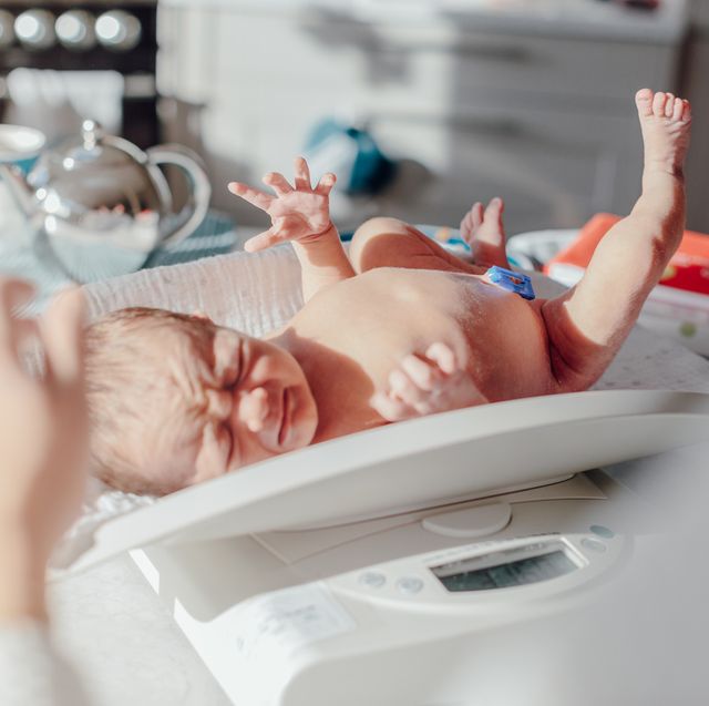 Curva De Peso Del Recien Nacido Percentil Peso Bebe