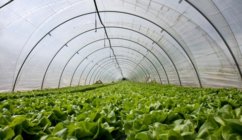 6 Surprising Places Plastic Lurks Prevention Plastic Greenhouse