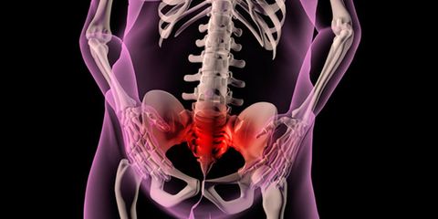 the connection between belly fat and osteoporosis