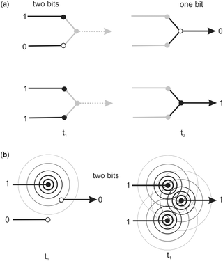 consciousness diagram