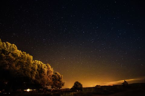night vibes shining stars,scenic view of silhouette of trees against sky at night