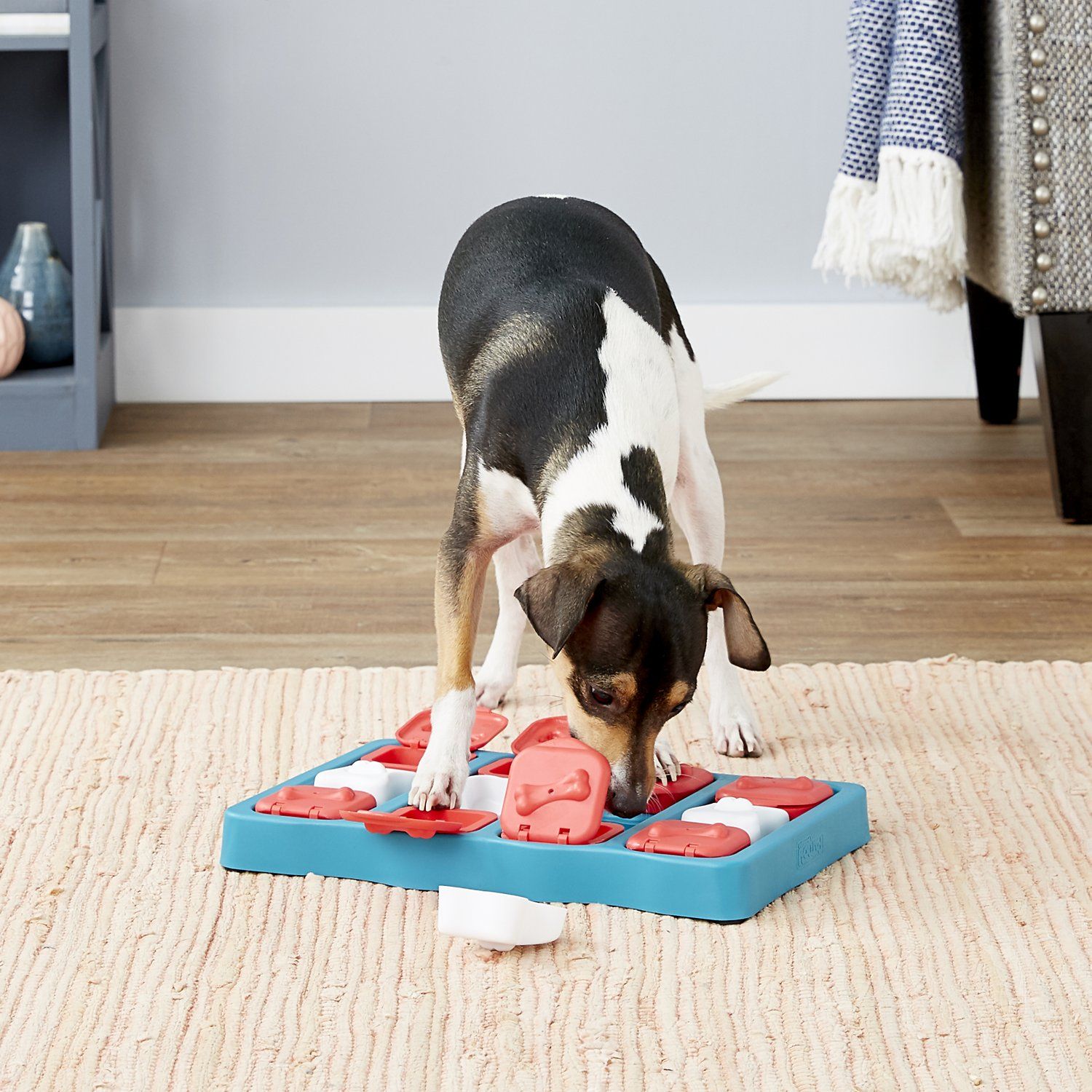 best dog food puzzles