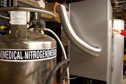 nitrogen.jpg