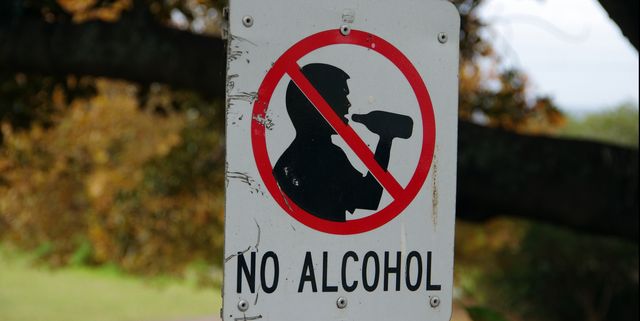 no alcohol sign in a public park