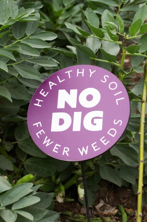 No Dig sign in the vegetable garden at RHS Wisley.