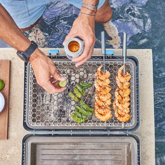 nomad portable grill and smoker