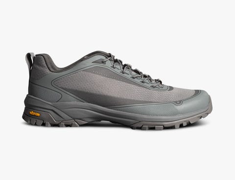 shoe