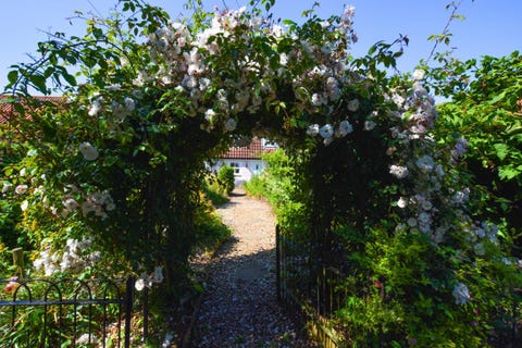Small Stanhoe Village Pink Cottage To Rent In Norfolk Norfolk Holiday Cottages