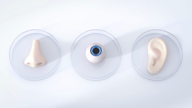 Nariz, ojos y oídos en placas de Petri, renderizado 3d