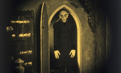 Nosferatu nosferatu