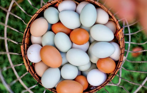 6 Healthy Reasons to Eat More Eggs