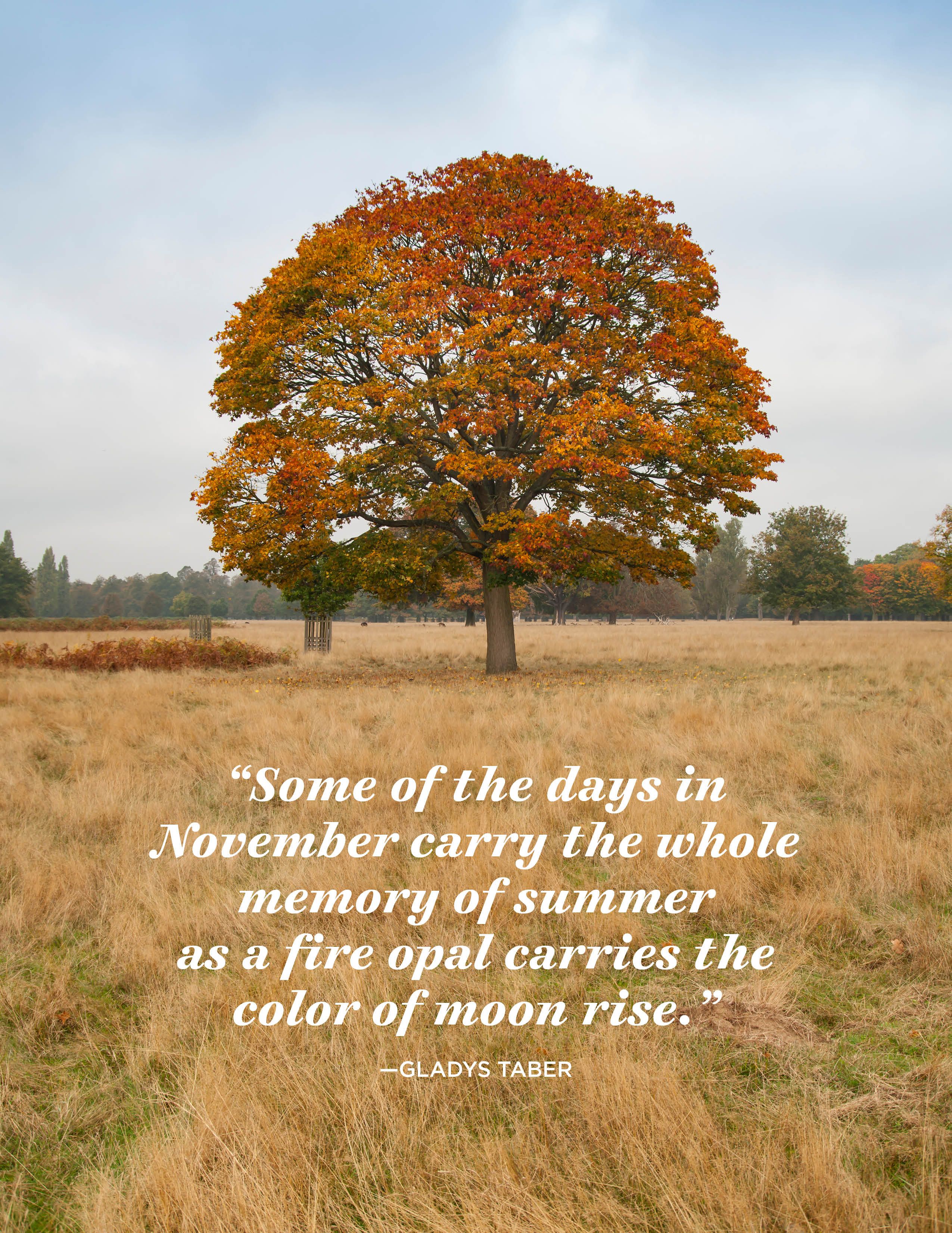 24 Inspiring November Quotes Famous Sayings And Quotes About November