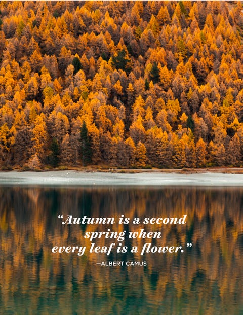 24 Inspiring November Quotes - Famous Sayings and Quotes about November