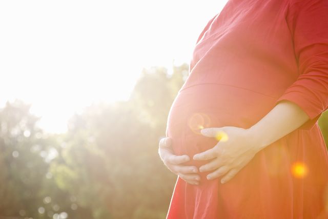 c'è una nuova proposta di legge sulla maternità surrogata