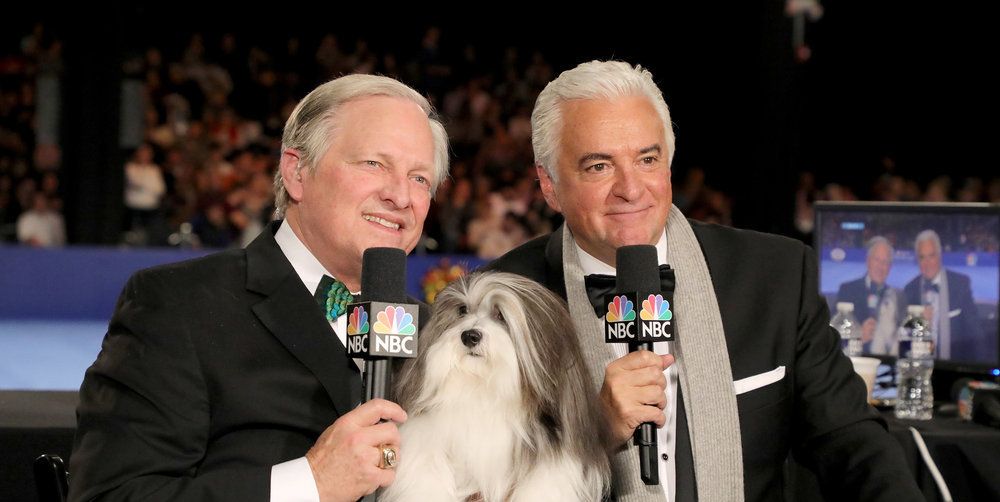 How to Watch the National Dog Show on Thanksgiving