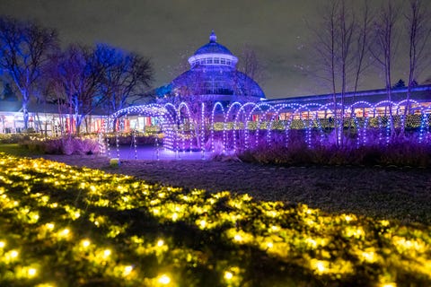 Ivy Getty Joins NYBG's Annual Winter Wonderland Ball﻿. See photos here.