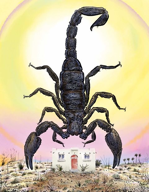 oasis california, scorpions
