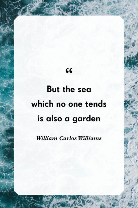 ocean quotes