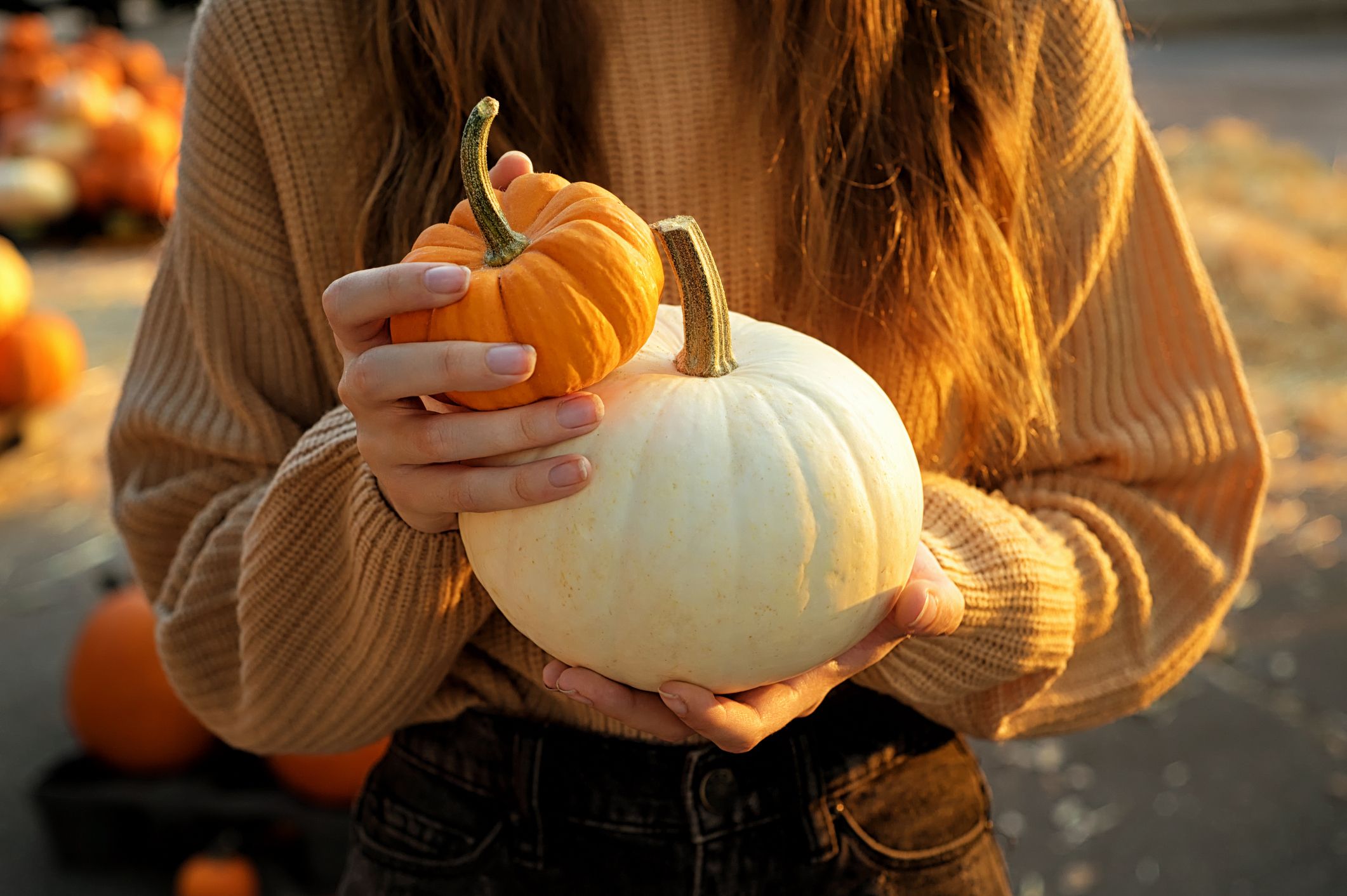 もうすぐハロウィン 栄養豊富なかぼちゃにまつわる16の事実 Elle Gourmet エル グルメ