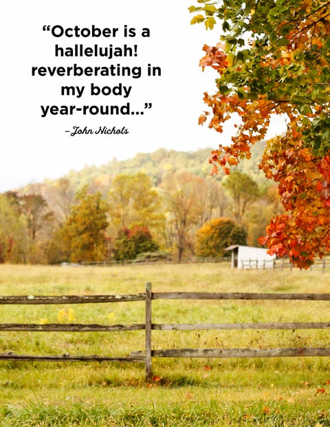 25 October Quotes - Famous Sayings and Quotes about October