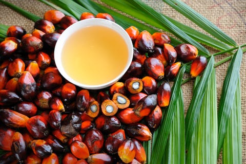 Oil palm fruits with cooking oil