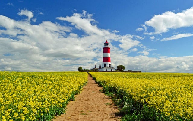 15 beautiful photos of Norfolk that will make you want to visit