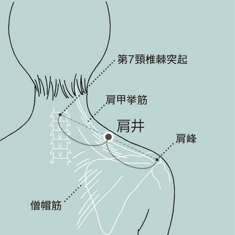 お灸でセルフケアする方法とは お灸の効果と更年期に効くツボ10 お灸でセルフケアする方法とは お灸の効果と更年期に効くツボ10