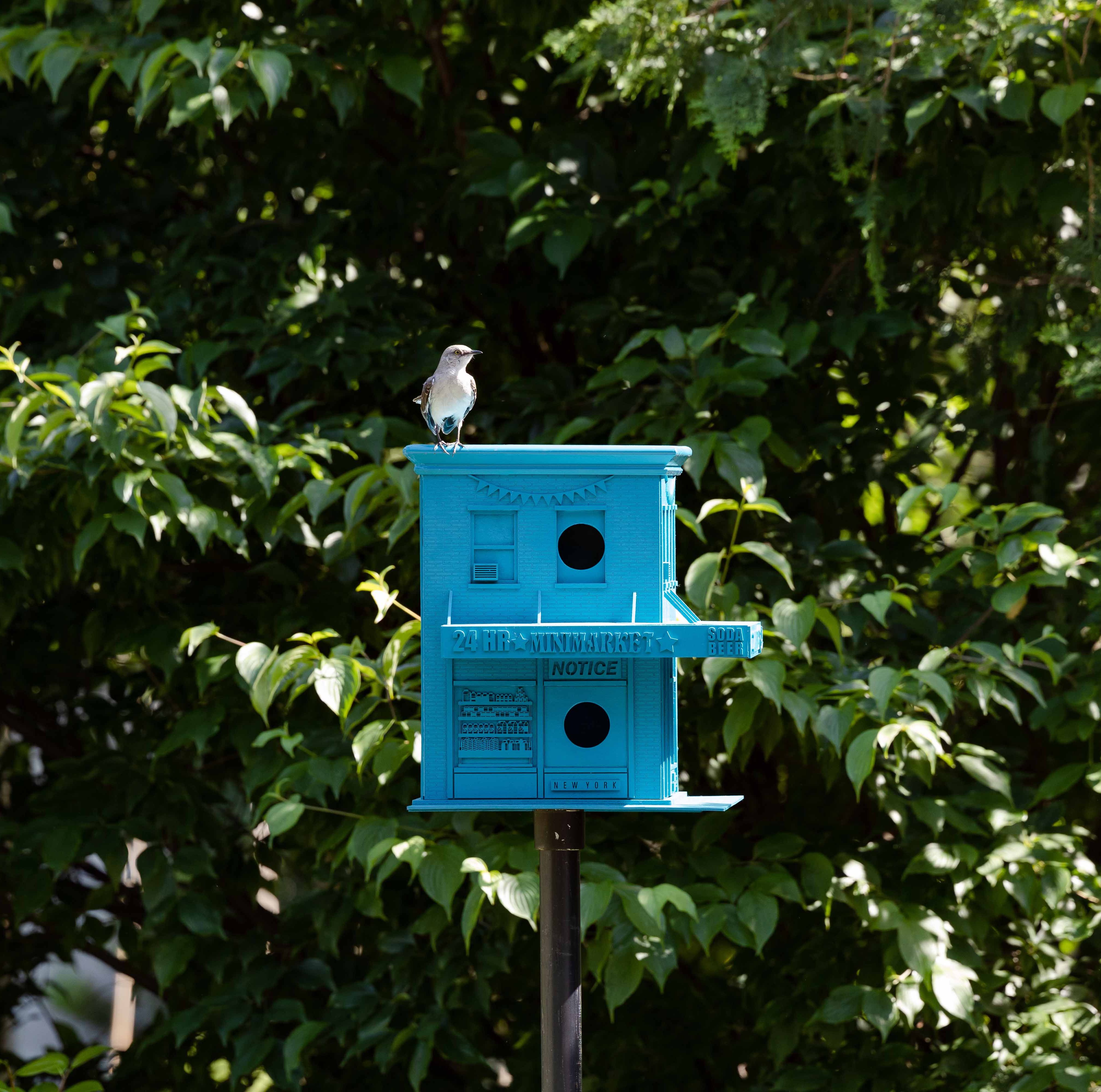 These Birdhouses Are Probably Better Designed Than Your House